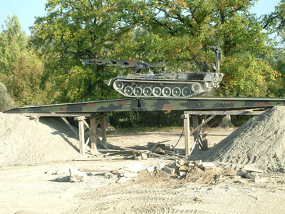 Der Biber überquert als erster die verlegte Brücke!